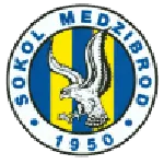 Sokol Medzibrod logo