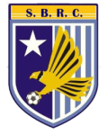Somerset Eagles Logo
