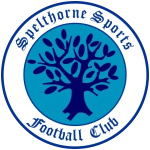 Spelthorne Sports Logo