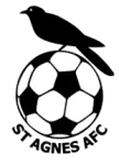 St Agnes logo