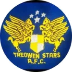 Treowen Stars logo