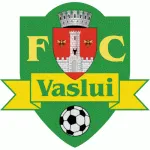 Vaslui logo