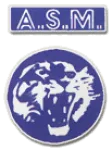 Vénissieux logo