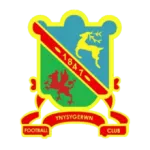 Ynysgerwn logo