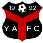 Ynyshir Albions Logo