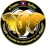 Young Elephant W logo