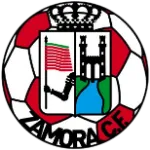 Zamora logo
