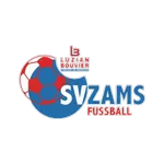 Zams logo