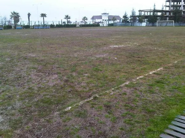 Adelis Stadioni