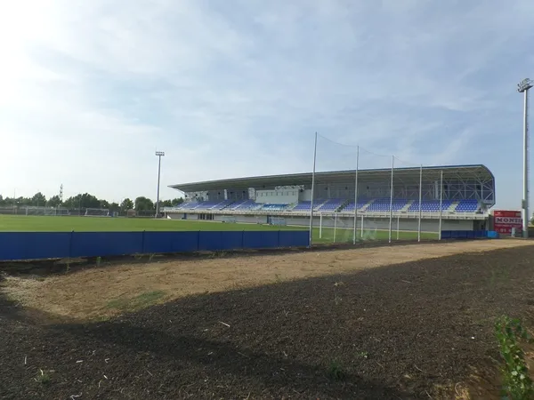 Estadio Fernando Torres Stadium