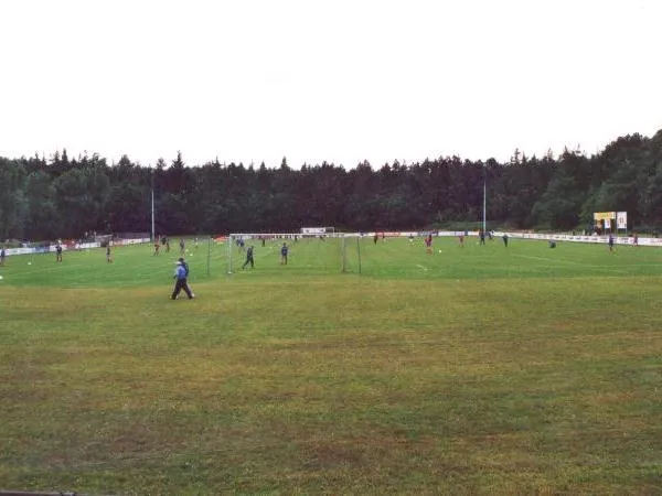 Friesen-Stadion Stadium