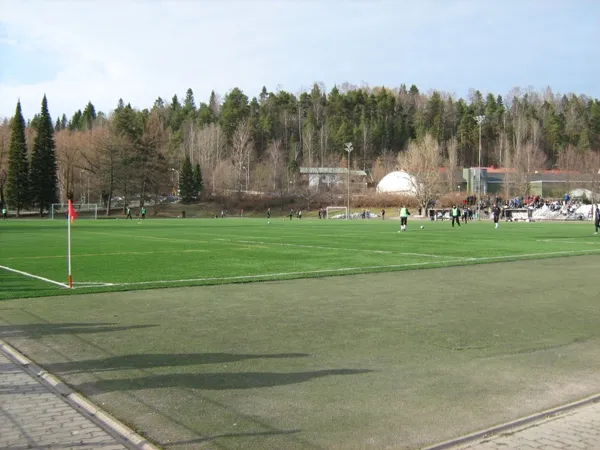 Kisapuiston tekonurmi Stadium